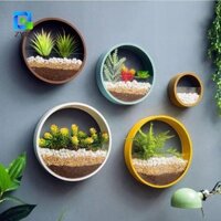 Zyjc Chậu Hoa Đơn Giản Phong Cách Bắc Âu Trang Trí Tường Phòng Treo Giỏ Treo Tường Không Đấm Bình Thủy Canh