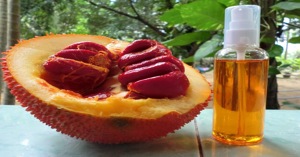 11 tác dụng của dầu gấc đối với trẻ em và phái đẹp