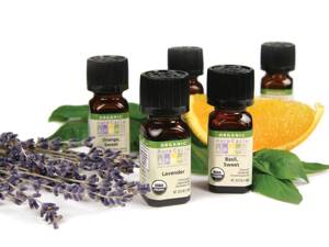 13 tác dụng của tinh dầu đinh hương với sức khỏe, sắc đẹp, trị bệnh