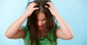2 loại dầu gội trị chấy hiệu quả và an toàn bạn nên thử