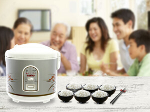 27 mã lỗi nồi cơm điện Sanyo thường gặp và cách chữa
