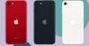 3 lựa chọn màu sắc có trên điện thoại iPhone SE 3 (2022)