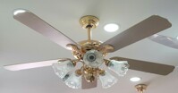 3 mẫu quạt trần có đèn để bạn tham khảo và lựa chọn