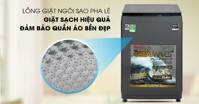 3 máy giặt Toshiba lồng đứng 10 kg cho gia đình từ 3 - 6 thành viên
