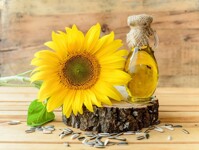 3 quan niệm tưởng đúng mà sai về dầu hướng dương