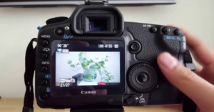 4 cách sử dụng máy ảnh Canon tối ưu từ các nút cơ bản nhất