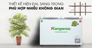 5 cách chọn tủ đông cho các chị em nội trợ