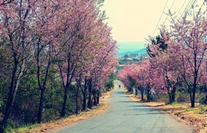 5 điểm du lịch không thể bỏ lỡ trong năm 2016