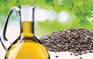 5 lý do nên làm đẹp từ dầu hạt chia