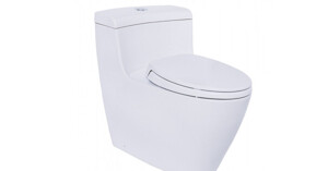 5 mẫu bồn cầu Toto 1 khối giá rẻ bán chạy nhất