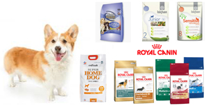 5 thương hiệu thức ăn khô cho chó loại tốt nhất hiện nay