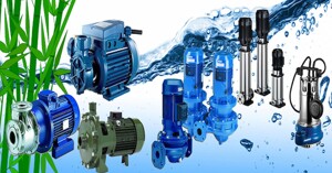 5 tiêu chí không thể bỏ qua khi mua máy bơm nước gia đình