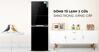 5 ưu điểm nổi bật của tủ lạnh Electrolux EME3700H-H có thể bạn chưa biết
