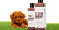 6 loại sữa tắm cho chó Poodle bán chạy nhất hiện nay