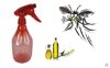 7 cách đuổi muỗi đơn giản mà hiệu quả giúp phòng chống virut Zika