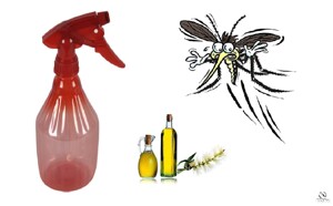 7 cách đuổi muỗi đơn giản mà hiệu quả giúp phòng chống virut Zika