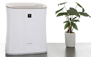7 máy lọc không khí tạo ẩm tốt tốt nhất kháng khuẩn giá từ 4tr5