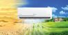 7 tiêu chí so sánh điều hòa Gree và điều hòa Daikin