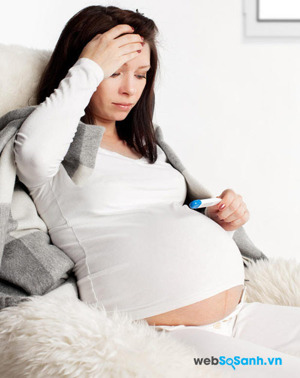 8 bài thuốc chữa cảm cúm cho mẹ bầu