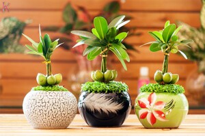 8 món quà hợp túi tiền ban có thể dành tặng đồng nghiệp nữ ngày 20/10