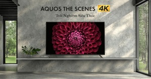 Android Tivi Sharp 4K 70 inch 4T-C70DL1X giá bao nhiêu? Có đáng mua năm 2023 không?