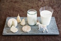 Bảng giá sữa bột từ sữa dê cập nhật mới nhất tháng 12/2016
