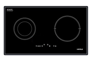 Bếp điện từ đôi cao cấp chỉ 10 triệu đồng có những loại nào ?