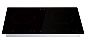 Bếp từ đôi giá 4 triệu đồng có những loại nào ?