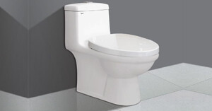 Bồn cầu 1 khối Viglacera loại nào bán chạy nhất?