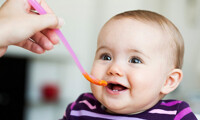 Bột ăm dặm Hipp có những loại nào?