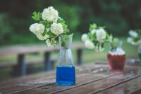 Các cách cắm hoa đẹp đơn giản mà đầy sáng tạo dành cho cô nàng vụng về