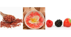 Các mùi hương căn bản bạn cần biết khi mới sử dụng nước hoa