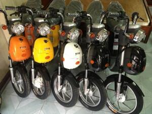 Cách phân biệt xe đạp điện Nijia thật - giả