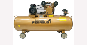 Chất lượng của máy nén khí Pegasus có tốt không?