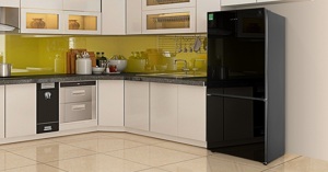 Chất lượng tủ lạnh Samsung Inverter 310 lít RB30N4010BU/SV có đáng để mua vào thời điểm này?