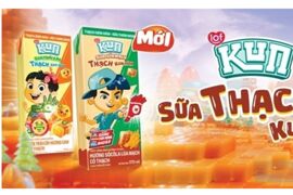 Chi tiết các dòng sữa Kun thạch và mức giá bán