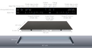 Có 10 triệu nên chọn bếp từ đôi hay bếp từ 3 bếp ?