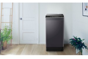 Có 5 triệu đồng nên chọn máy giặt Toshiba Inverter 10 kg AW-DUM1100JV(SG) hay Panasonic NA-F10S10BRV?