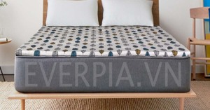 Có nên mua đệm bông ép giá rẻ Everon Lite không?