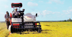 Có nên mua máy gặt đập liên hợp Yanmar AW82V không?