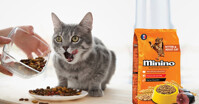 Có nên mua thức ăn cho mèo Minino không?