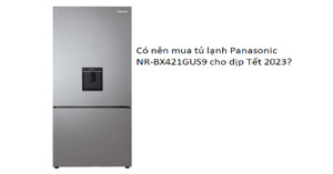 Có nên mua tủ lạnh Panasonic NR-BX421GUS9 cho dịp Tết 2023?