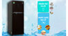 Có nên mua tủ lạnh Samsung 300L không? Giá bao nhiêu tiền?
