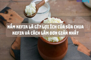 Công dụng của sữa chua Kefir và cách làm sữa chua Kefir tại nhà