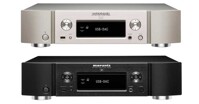 DAC là gì? Công dụng của DAC ra sao?