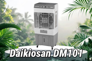 Daikiosan DM101 có phải lựa chọn hoàn hảo cho gia đình?