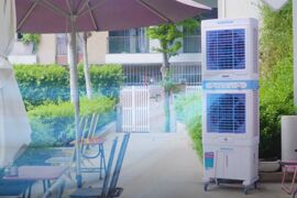 Daikiosan DM211: Lựa chọn khả thi cho không gian hội trường, công việc kinh doanh hàng quán