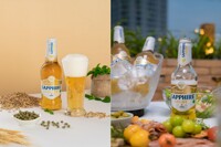 Đánh giá bia chai Sapphire Golden: Bia low-carb đẳng cấp từ bao bì đến hương vị