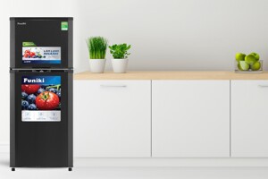 Đánh giá chi tiết tủ lạnh Funiki Inverter 209 lít HR T8209TDG về thiết kế, tính năng