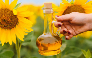 Đánh giá dầu hướng dương có tốt không, công dụng, nên mua loại nào?